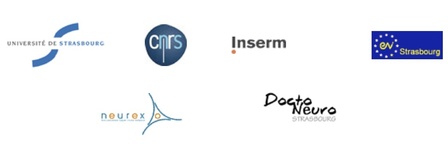 Partenaire d'APRAG, INSERM U-692, INCI UPR-CNRS 1332, LINC FRE-CNRS-UdS 3289 ... Partenaire d'APRAG, INSERM U-692, INCI UPR-CNRS 1332, LINC FRE-CNRS-UdS 3289 ...