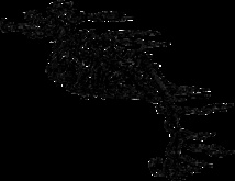 c/o Pixabay c/o Pixabay