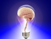 32e Journée de Neuropsychologie aux Vignes, 13/12/19, Colmar