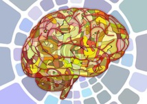 37ème Journée de la Neuropsychologie aux Vignes, 17/11/2023, Bas Rhin