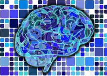 38ème Journée de la Neuropsychologie aux Vignes, Janvier 2024