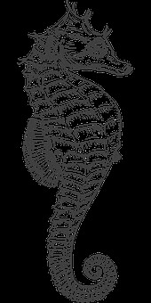 Nouveau Bureau au 22/11/2025