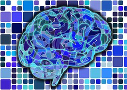 38ème Journée de la Neuropsychologie aux Vignes, Janvier 2024