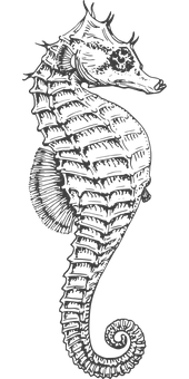 Nouveau Bureau au 22/11/2025