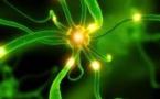 Photo © DR, Futura Sciences