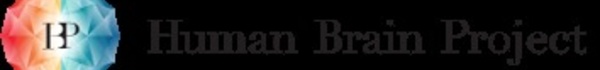 Human Brain Project