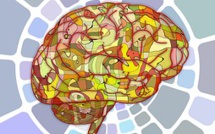 37ème Journée de la Neuropsychologie aux Vignes, 17/11/2023, Bas Rhin