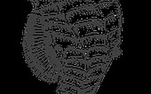 Nouveau Bureau au 22/11/2025